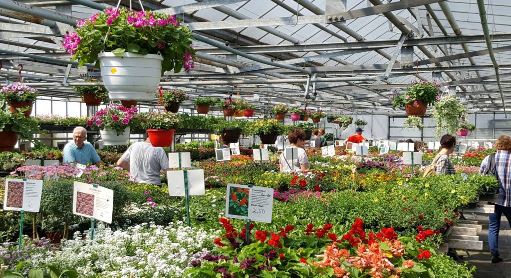 Jetzt Geht S Im Garten Richtig Los Familienportal