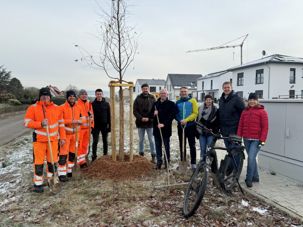Read more about the article STADTRADELN 2023 – Der Landkreis dankt seinen radaktiven Gemeinden mit Bäumen und Fahrradständern