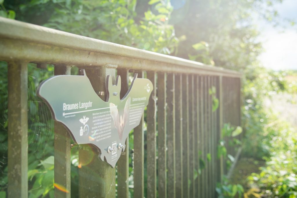 Mehr über den Artikel erfahren Tipp für die Sommerferien: Ausflug auf dem Fledermausweg Viereth-Unterhaid