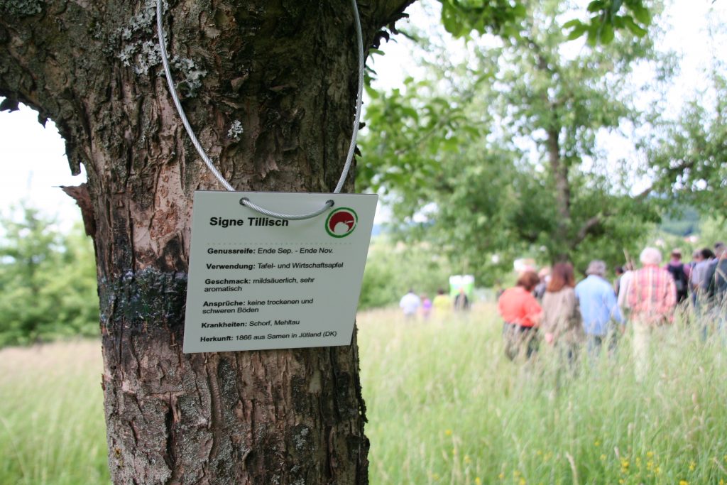 Mehr über den Artikel erfahren Obstwiesenfest in Lauf bei Zapfendorf